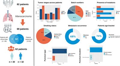 Transcriptomics profiling of the non-small cell lung cancer microenvironment across disease stages reveals dual immune cell-type behaviors